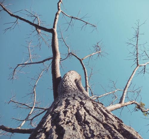 219561340 190058393137394 4301089924817719934 n