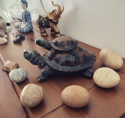 240426921 921668815413684 746250045199430809 n