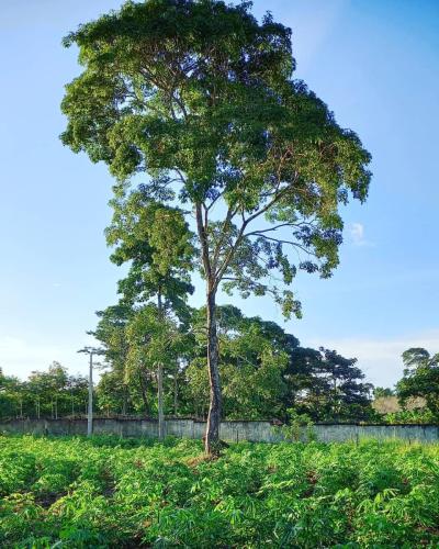 271343677 462892051942529 1599630877105061644 n